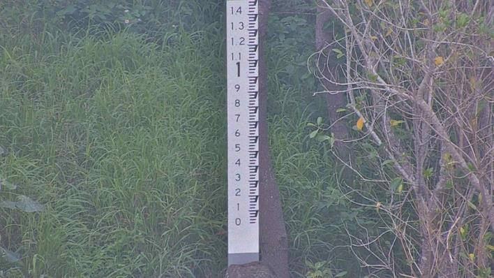 A water gauge post standing in grass on a regular day