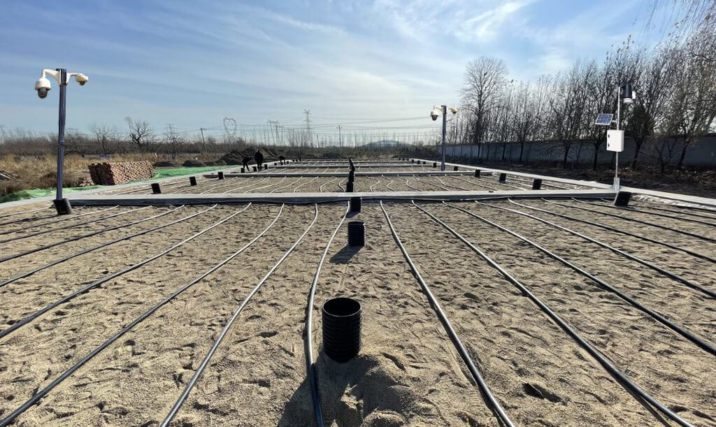 Camera and sensor poles installed across a newly planted wetland bed